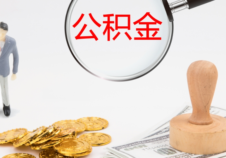 揭秘上海鞠婧祎真实财富状况：从四千年美女标签到个人品牌价值，她到底多有钱？